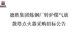 德勝集團煉鋼廠轉(zhuǎn)爐煤氣放散塔點火器招標(biāo)項目