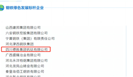 沙灣發(fā)布6月6日報道：釩鈦榮獲“綠色發(fā)展標桿企業(yè)”